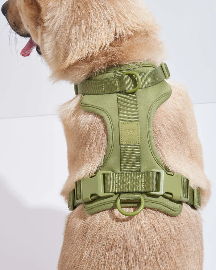 Adjustable Comfort Dog Harness