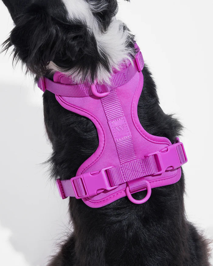 Adjustable Comfort Dog Harness