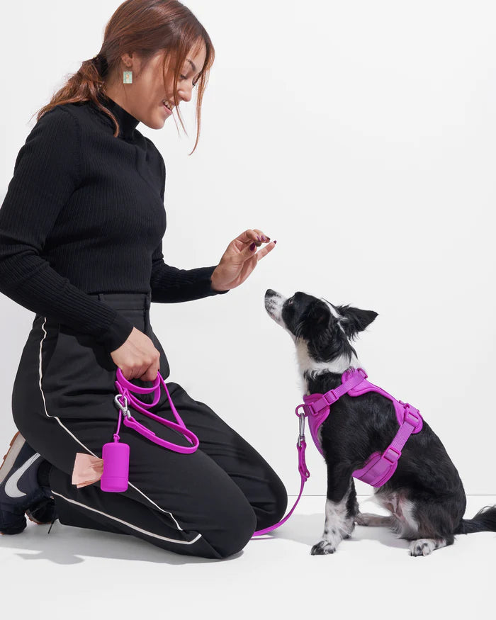 Adjustable Comfort Dog Harness