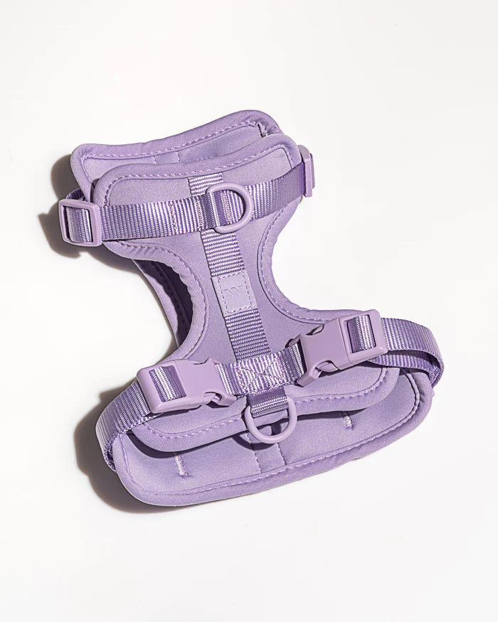 Adjustable Comfort Dog Harness