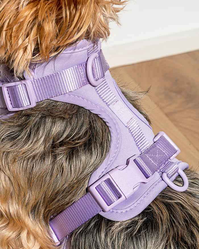 Adjustable Comfort Dog Harness