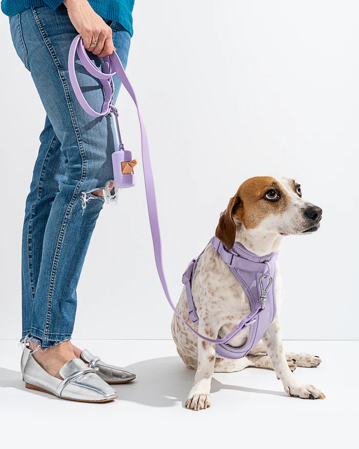 Adjustable Comfort Dog Harness