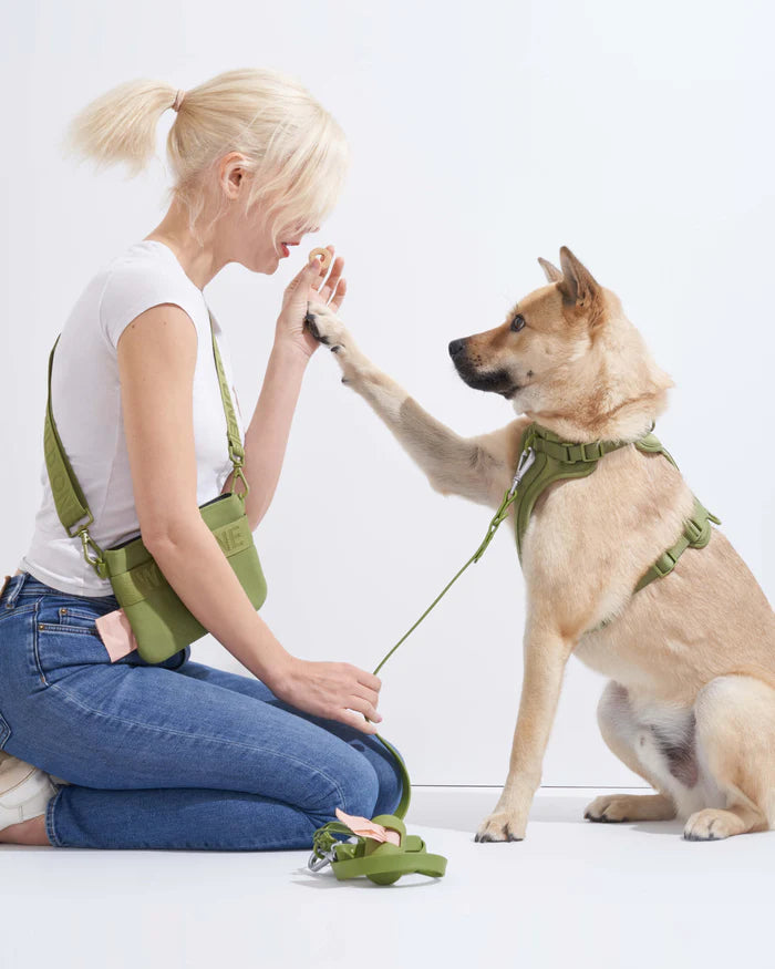 Adjustable Comfort Dog Harness