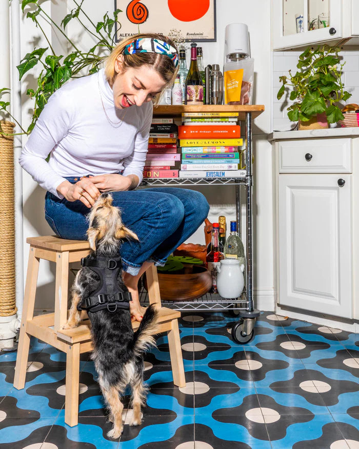 Adjustable Comfort Dog Harness