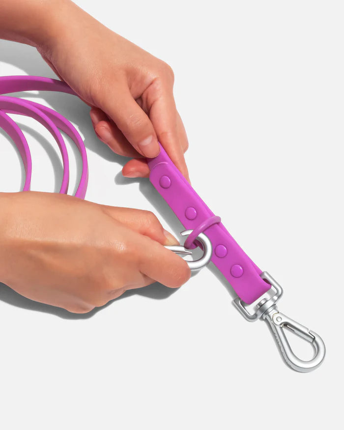 Adjustable Dog Leash