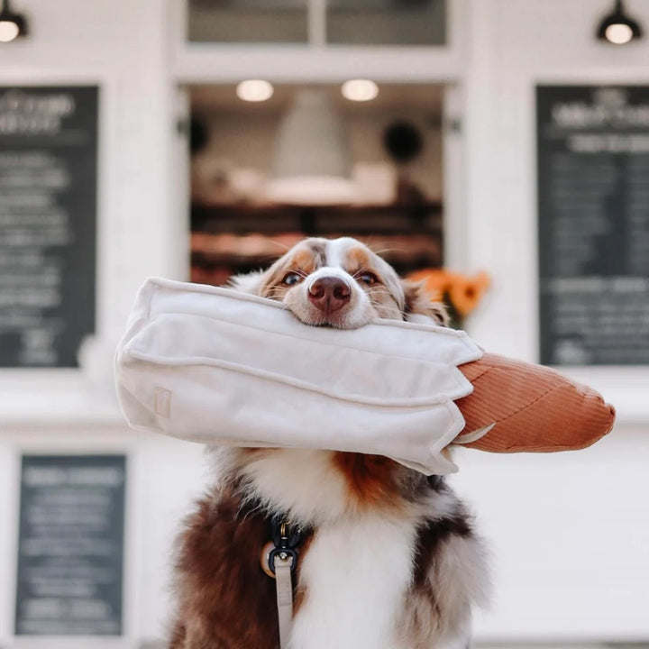 Baguette - Enrichment Toy