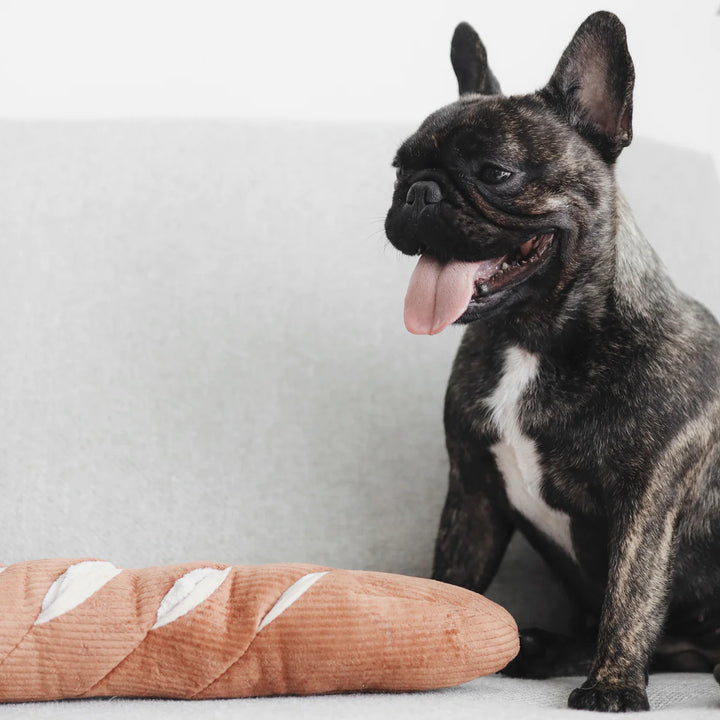 Baguette - Enrichment Toy