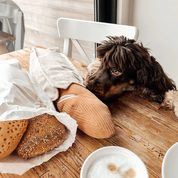 Baguette - Enrichment Toy