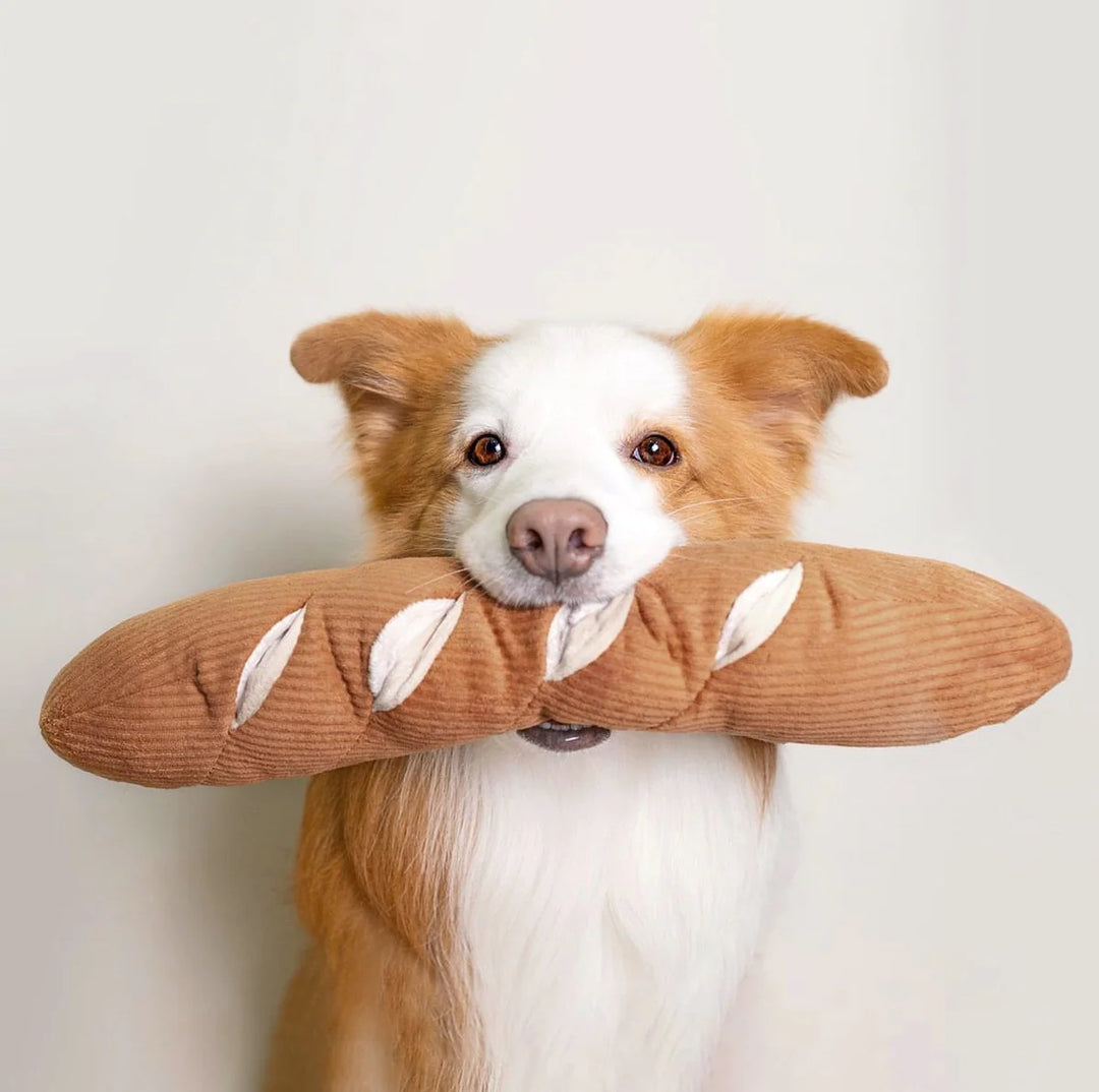 Baguette - Enrichment Toy