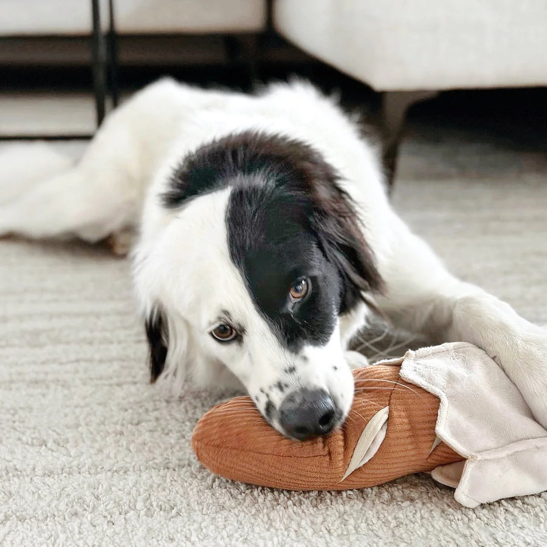 Baguette - Enrichment Toy