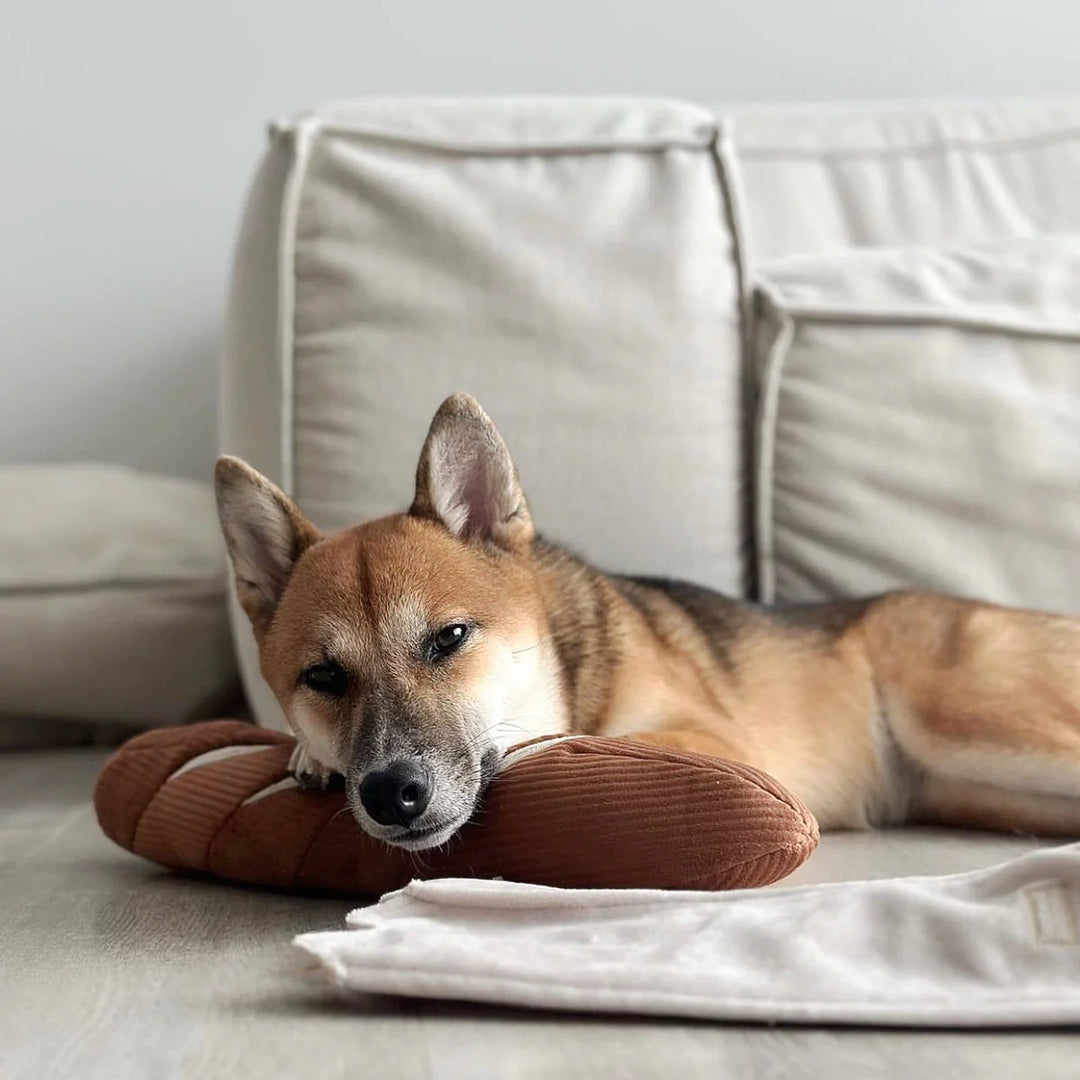 Baguette - Enrichment Toy