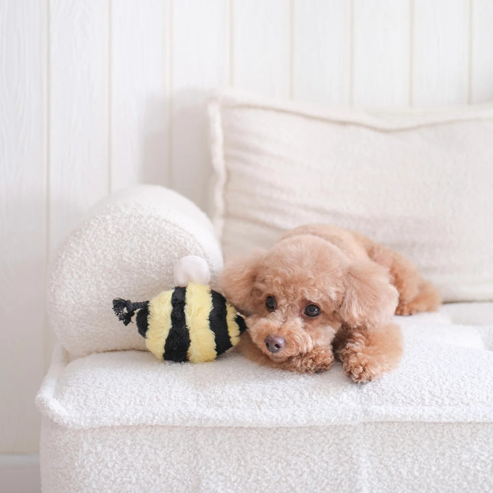 Bee Pop - Enrichment Toy