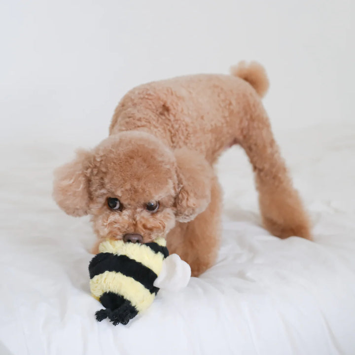 Bee Pop - Enrichment Toy