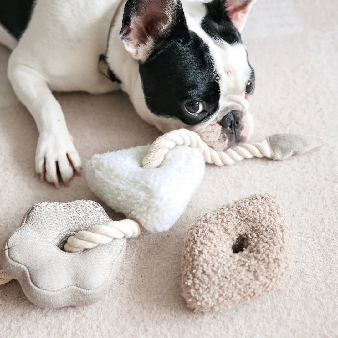 Blocs - Enrichment Rope Toy