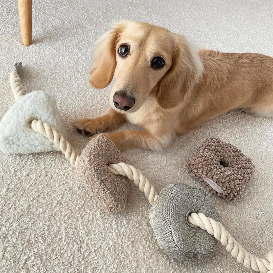 Blocs - Enrichment Rope Toy