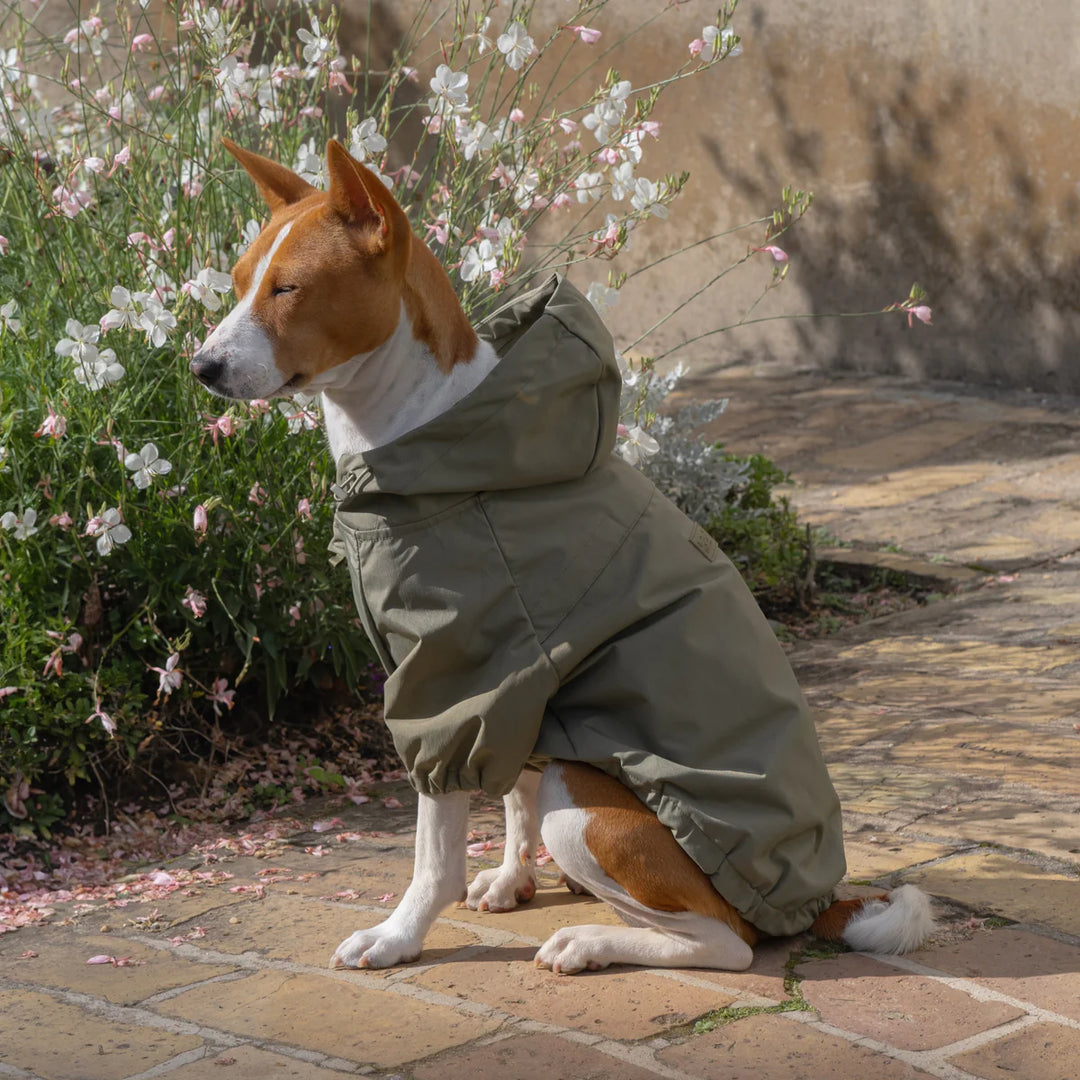 Brooklyn Rain Coat