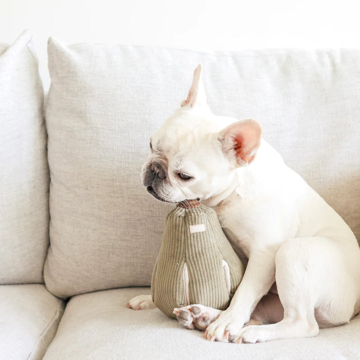 Butternut Squash - Enrichment Toy