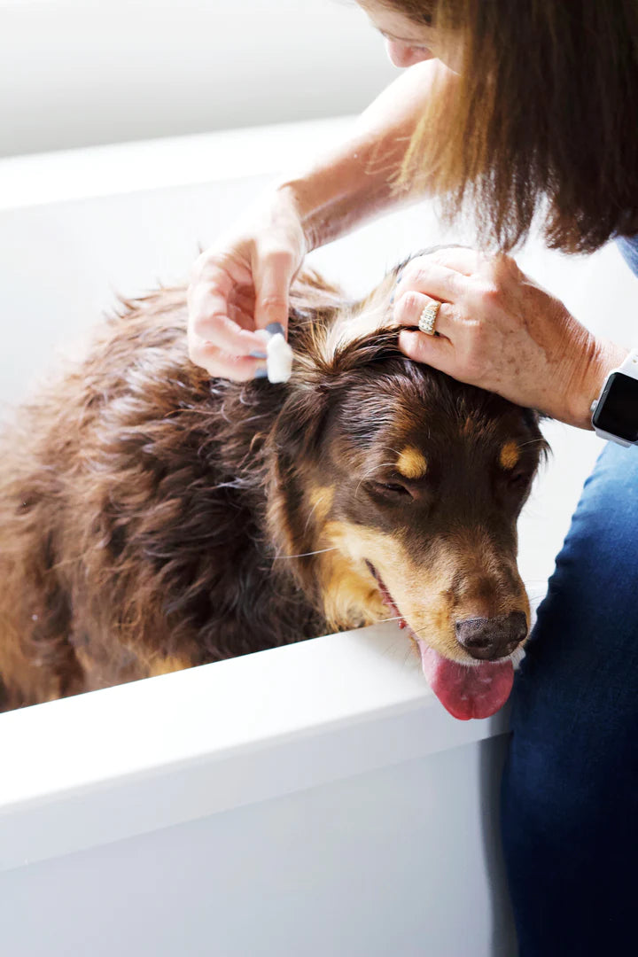 Every Ear Wash