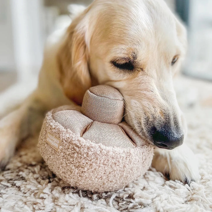 GUU Mushroom - Enrichment Toy