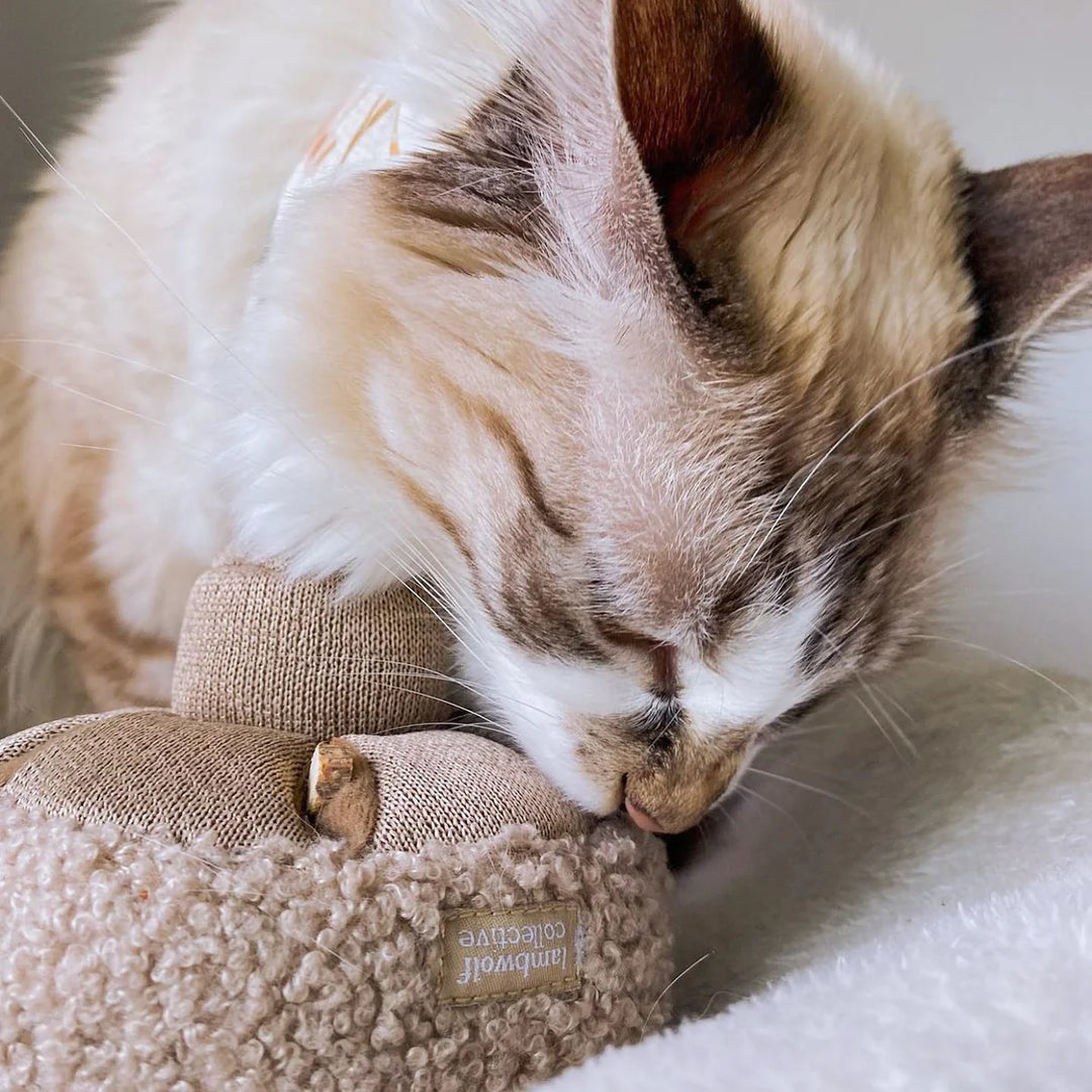 GUU Mushroom - Enrichment Toy