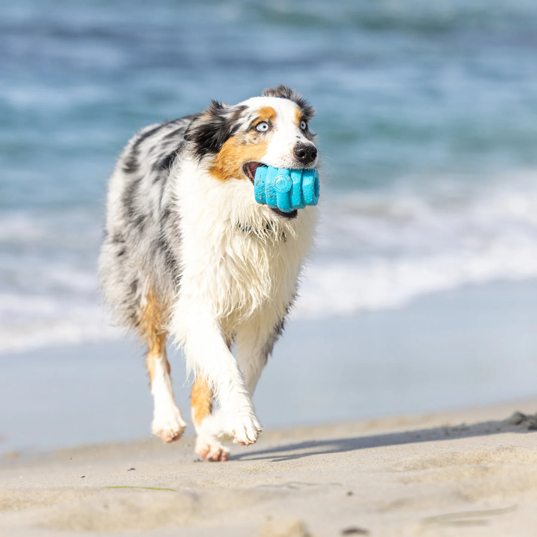 Hive Chew Toy - Large - Soothing Vanilla