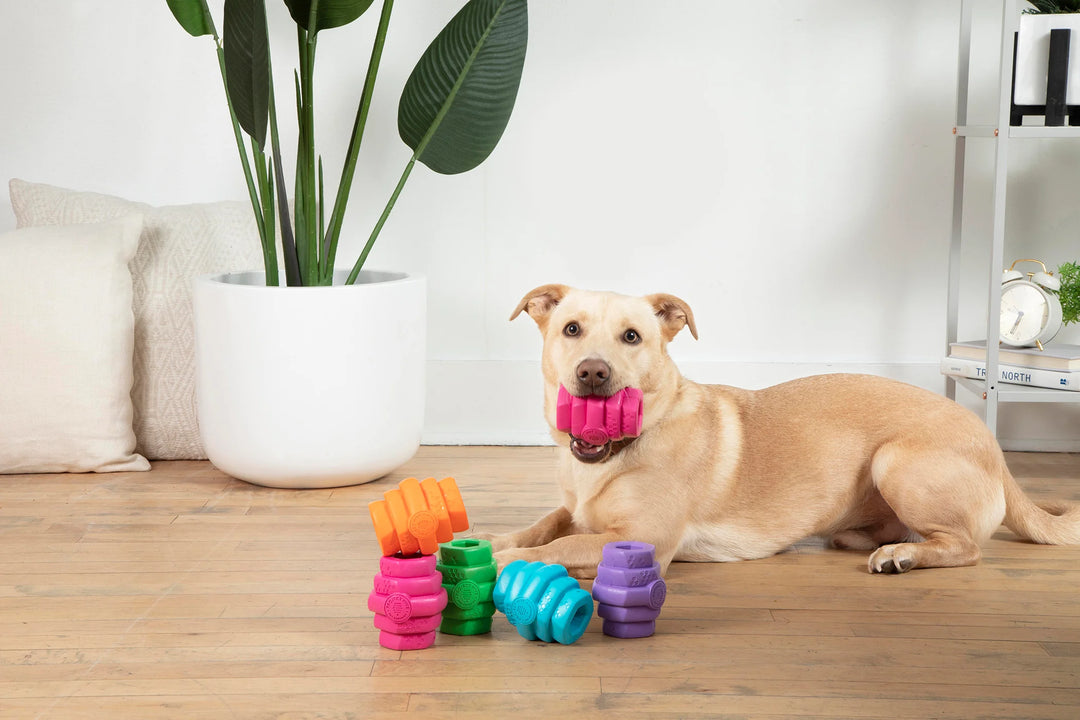 Hive Chew Toy - Large - Wild Berry