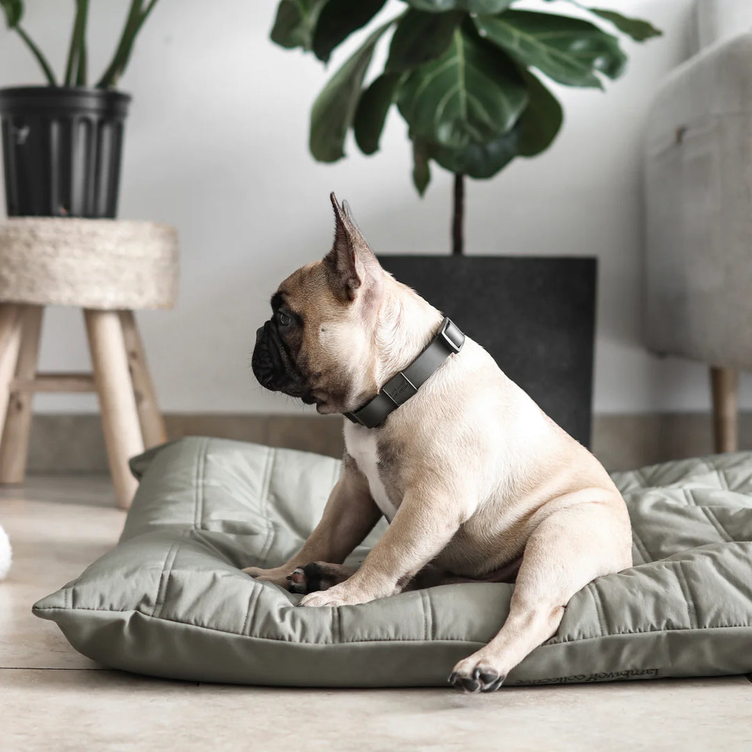 MAATIN Rectangular Pet Bed