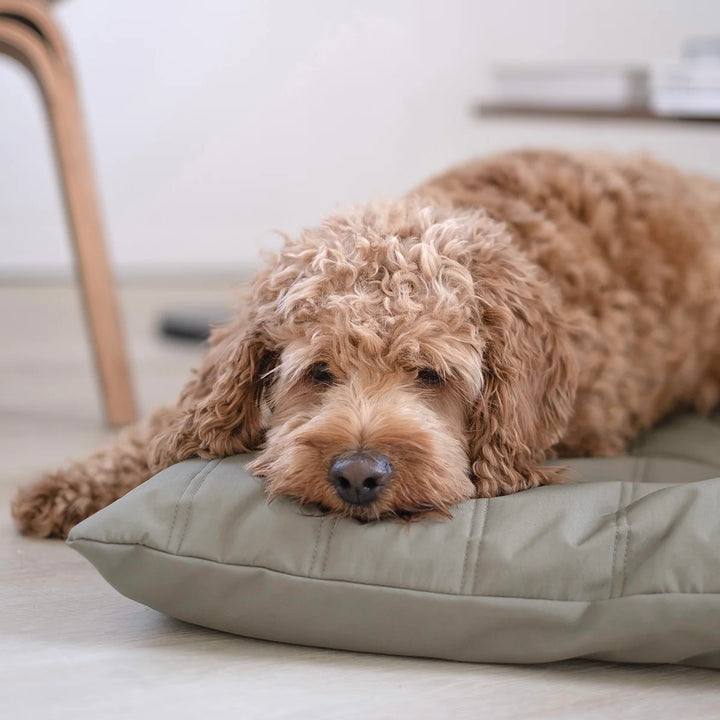 MAATIN Rectangular Pet Bed