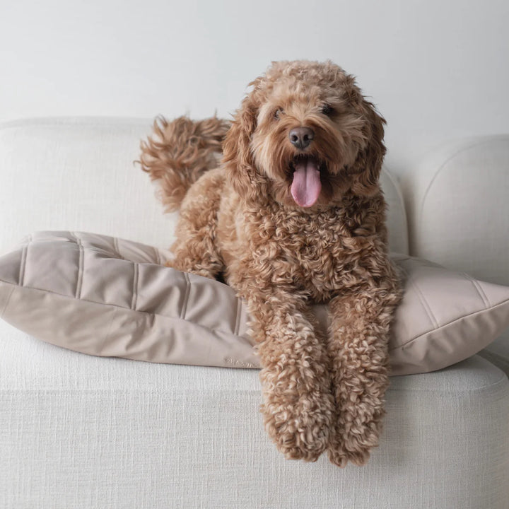 MAATIN Rectangular Pet Bed