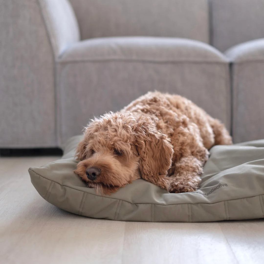 MAATIN Rectangular Pet Bed