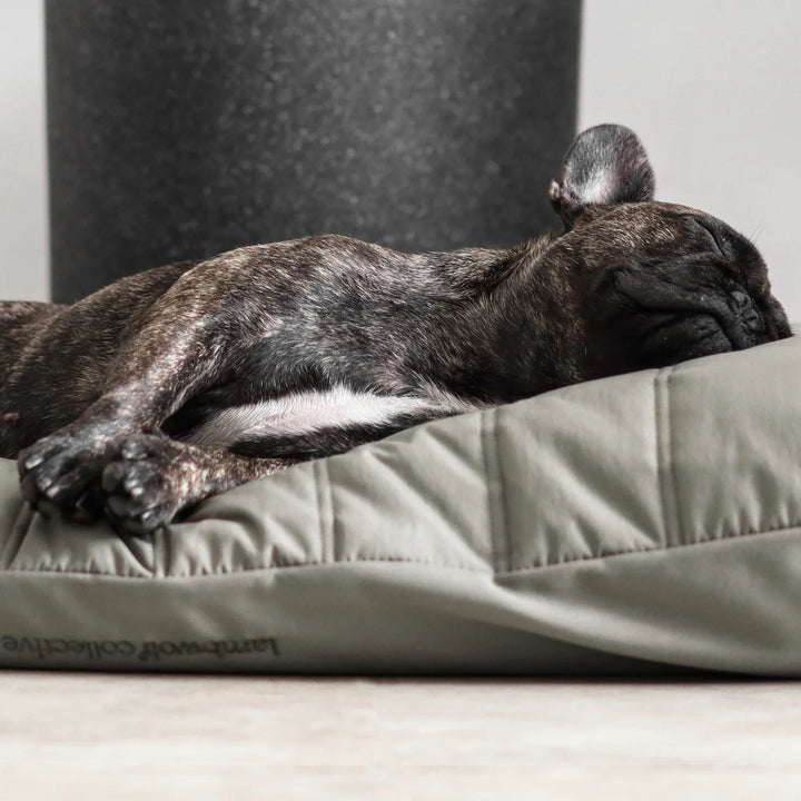 MAATIN Rectangular Pet Bed