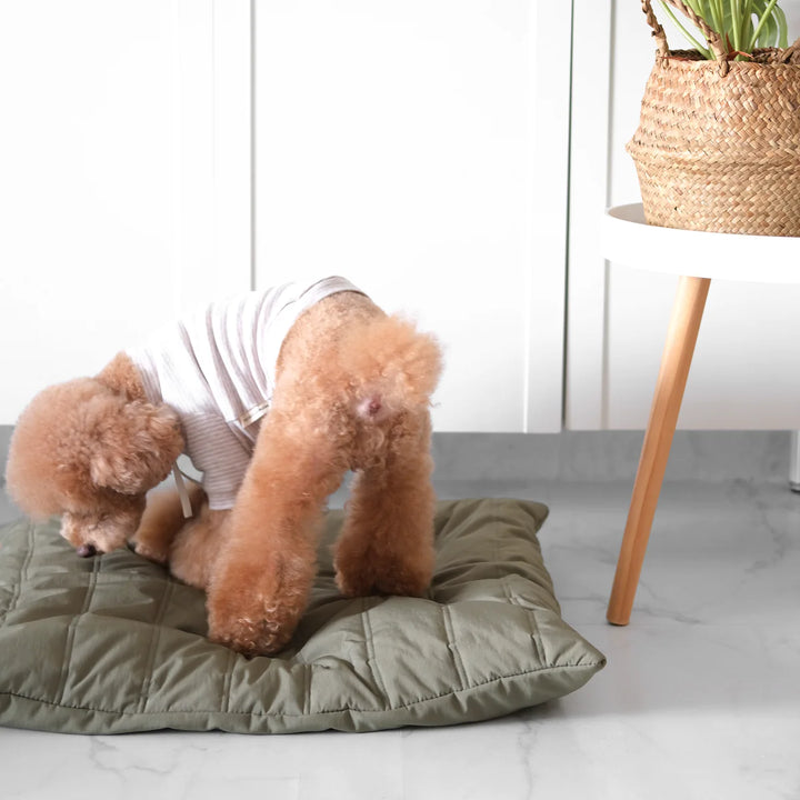 MAATIN Rectangular Pet Bed