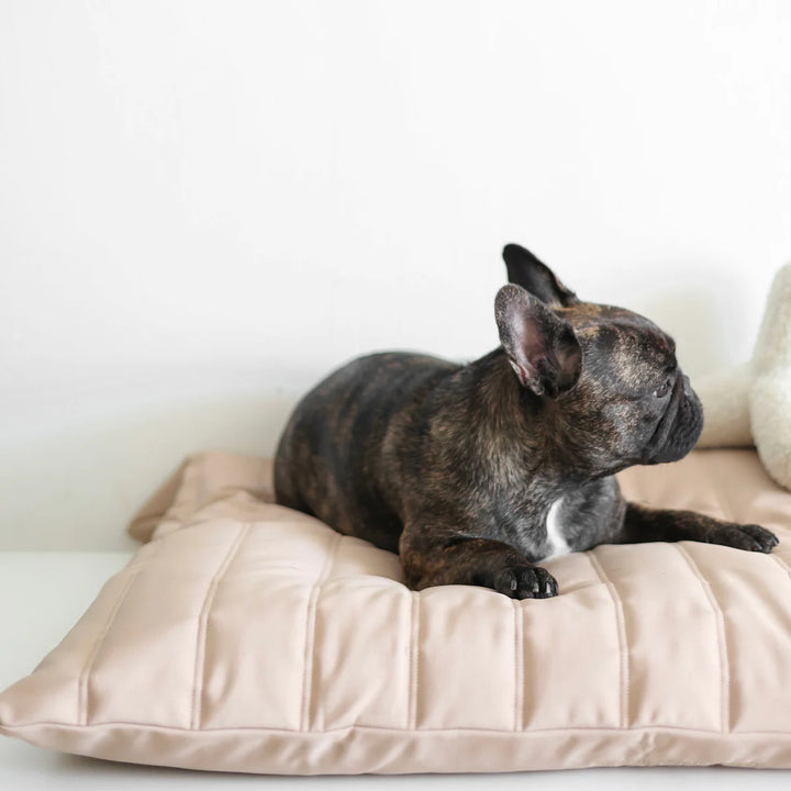 MAATIN Rectangular Pet Bed