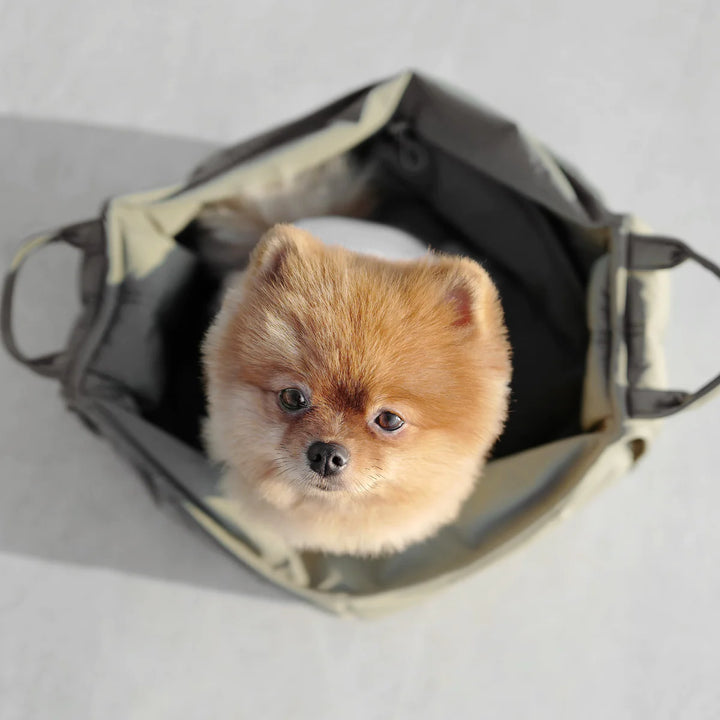 OLLA Petite Pet Carrier Bag