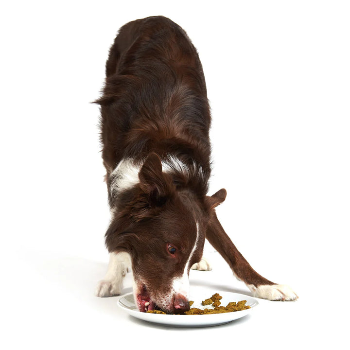 Very Berry Chicken - Raw Dehydrated Superfood for Dogs