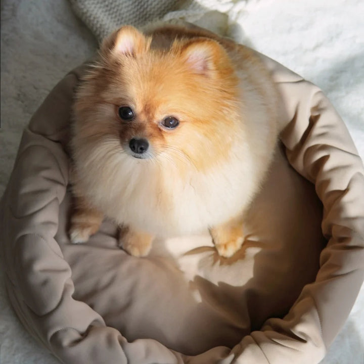 TAART Reversible Round Pet Bed