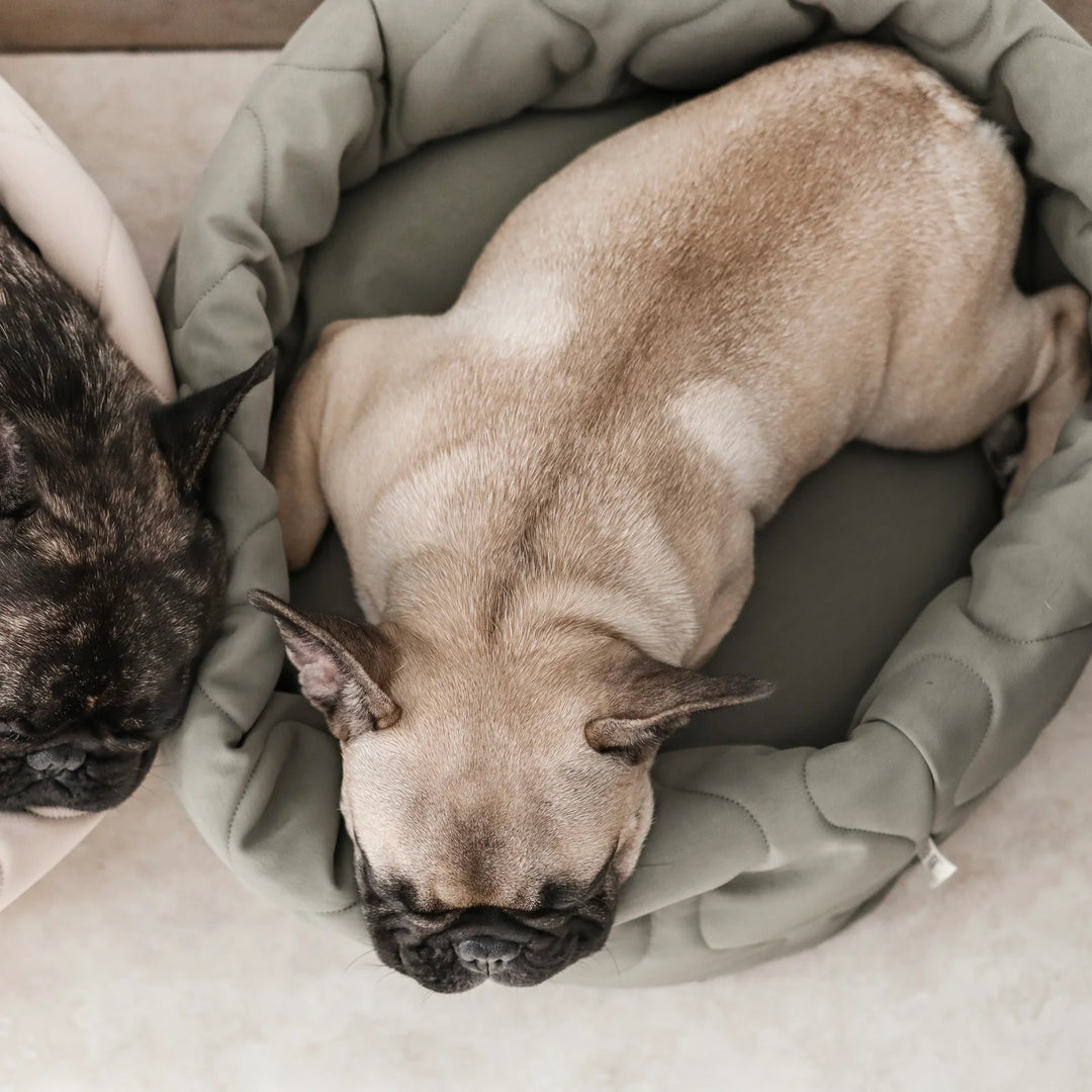 TAART Reversible Round Pet Bed