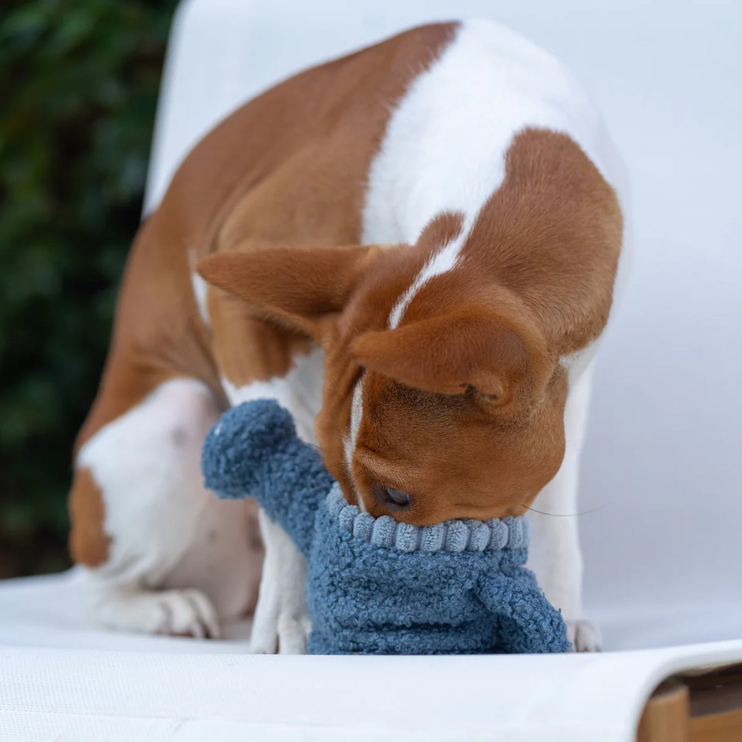 Watering Can - Enrichment Toy