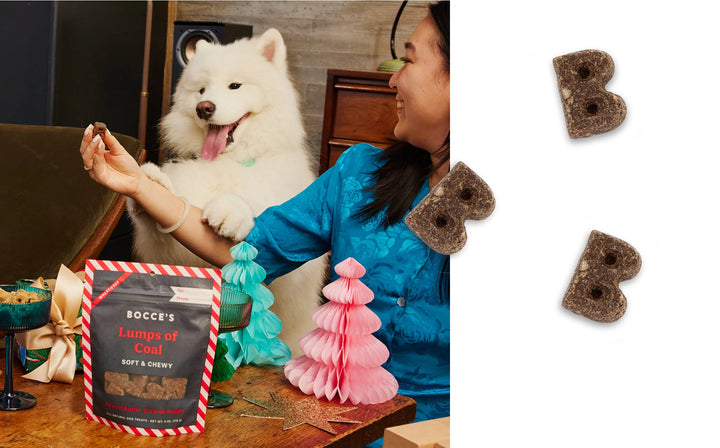 Lumps of Coal - Holiday Dog Treats