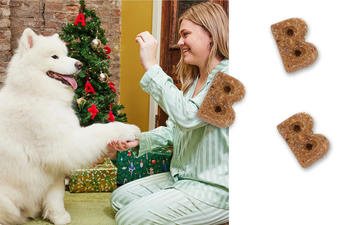 Nutcracker Crunch - Holiday Dog Treats