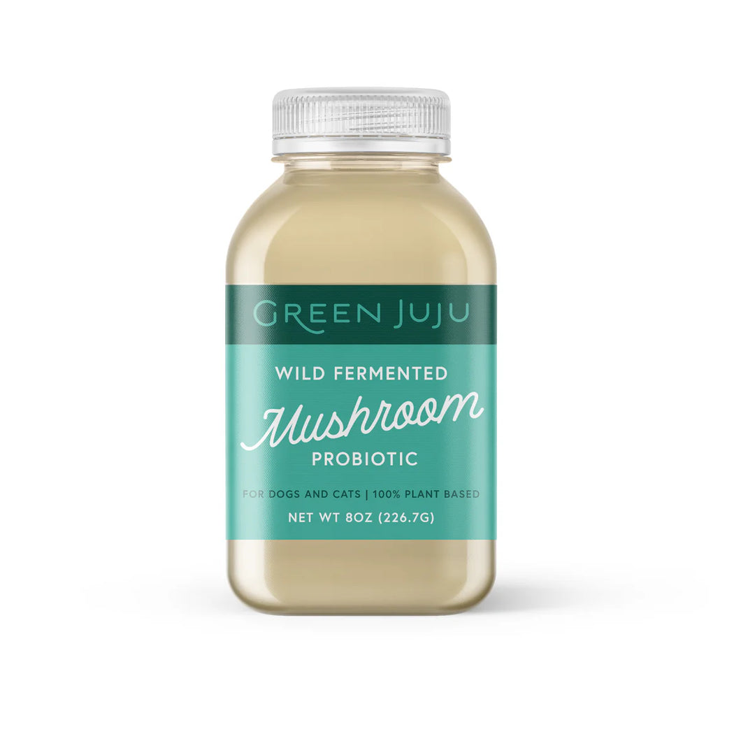 Frozen Wild Fermented Mushroom Probiotic