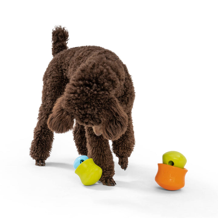 Toppl® - Puzzle Toy