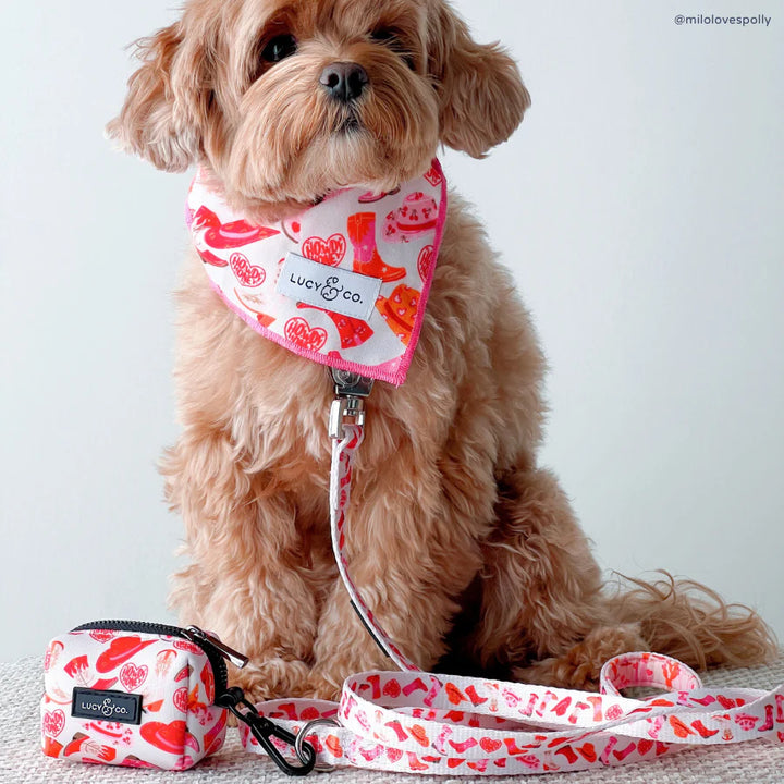Howdy, Honey Bandana