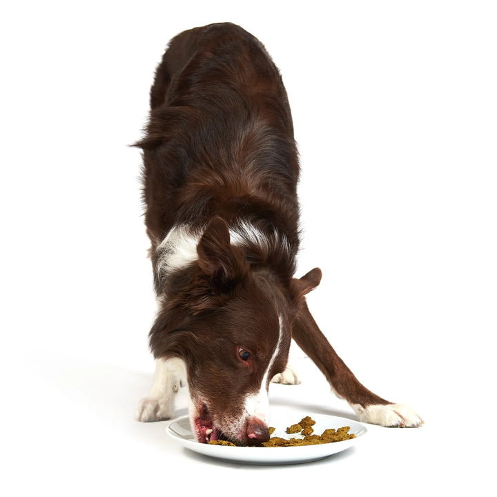 Chunky Chicken- Raw Dehydrated Superfood for Dogs