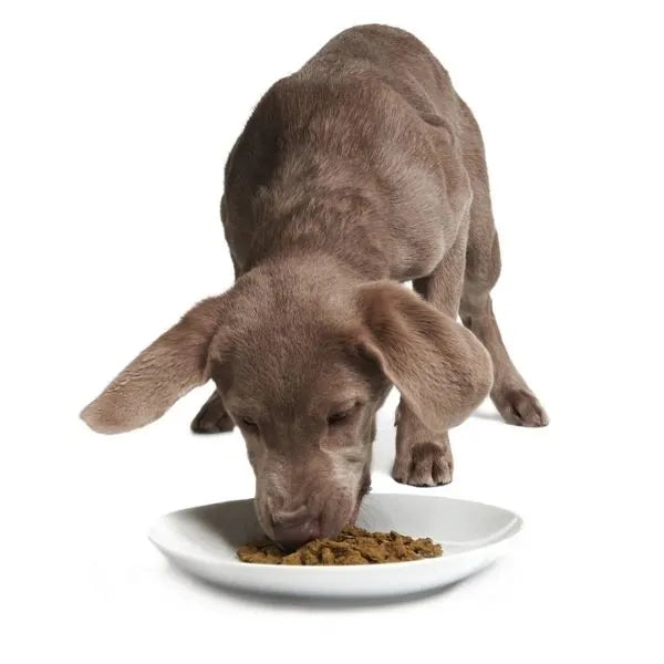 Rockin’ Rockfish- Raw Dehydrated Superfood for Dogs