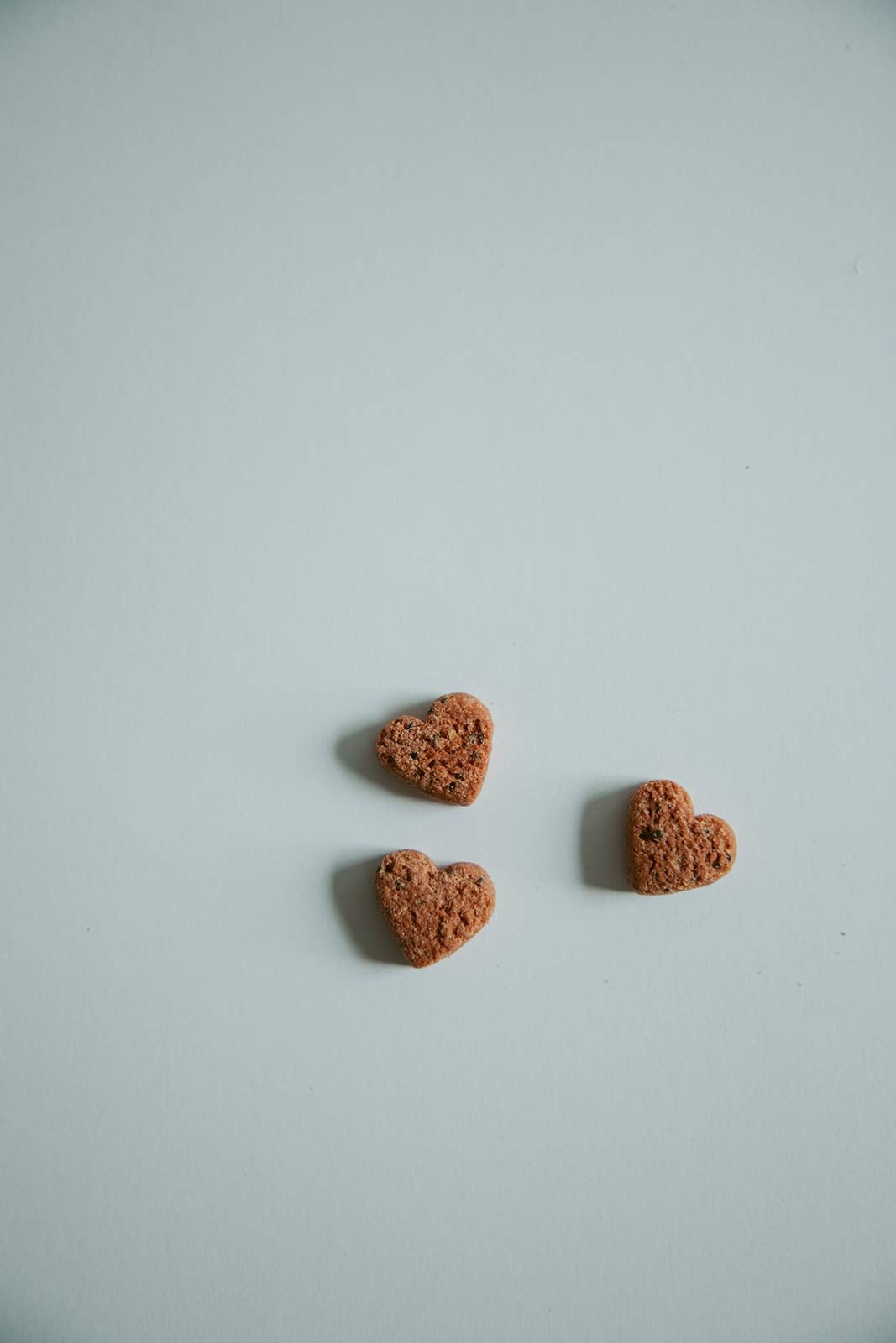 Botanical Bones - Organic Dog Treats