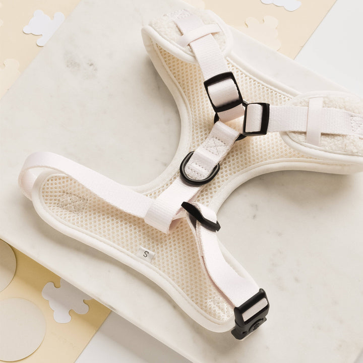Aviator Adjustable Neck Harness