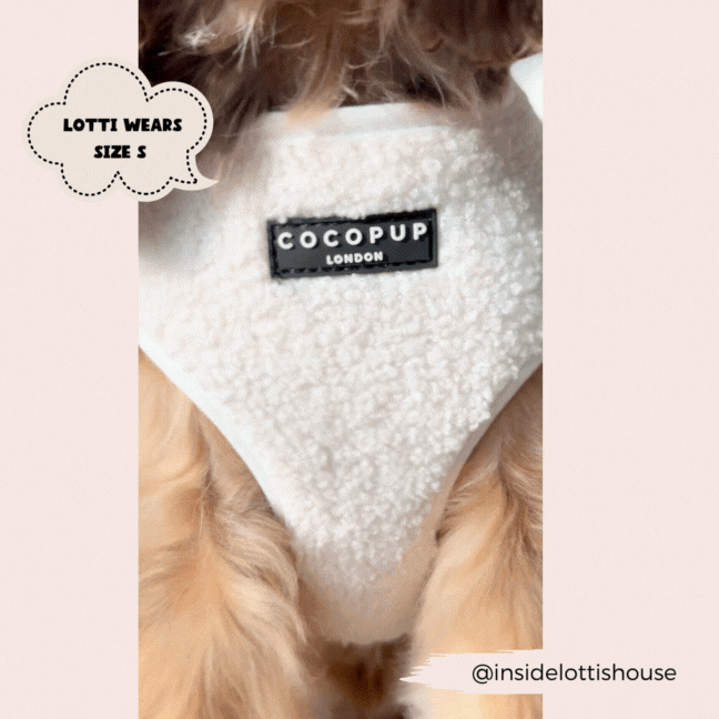 Aviator Adjustable Neck Harness