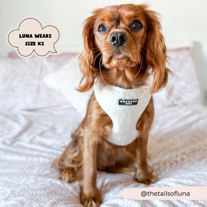 Aviator Adjustable Neck Harness