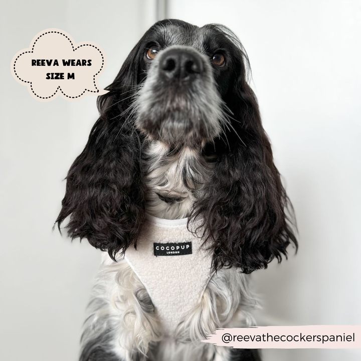 Aviator Adjustable Neck Harness